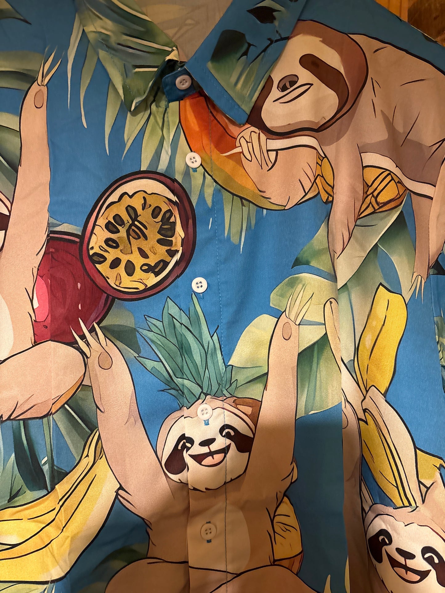 Même les paresseux savent faire la fête Hawaïenne