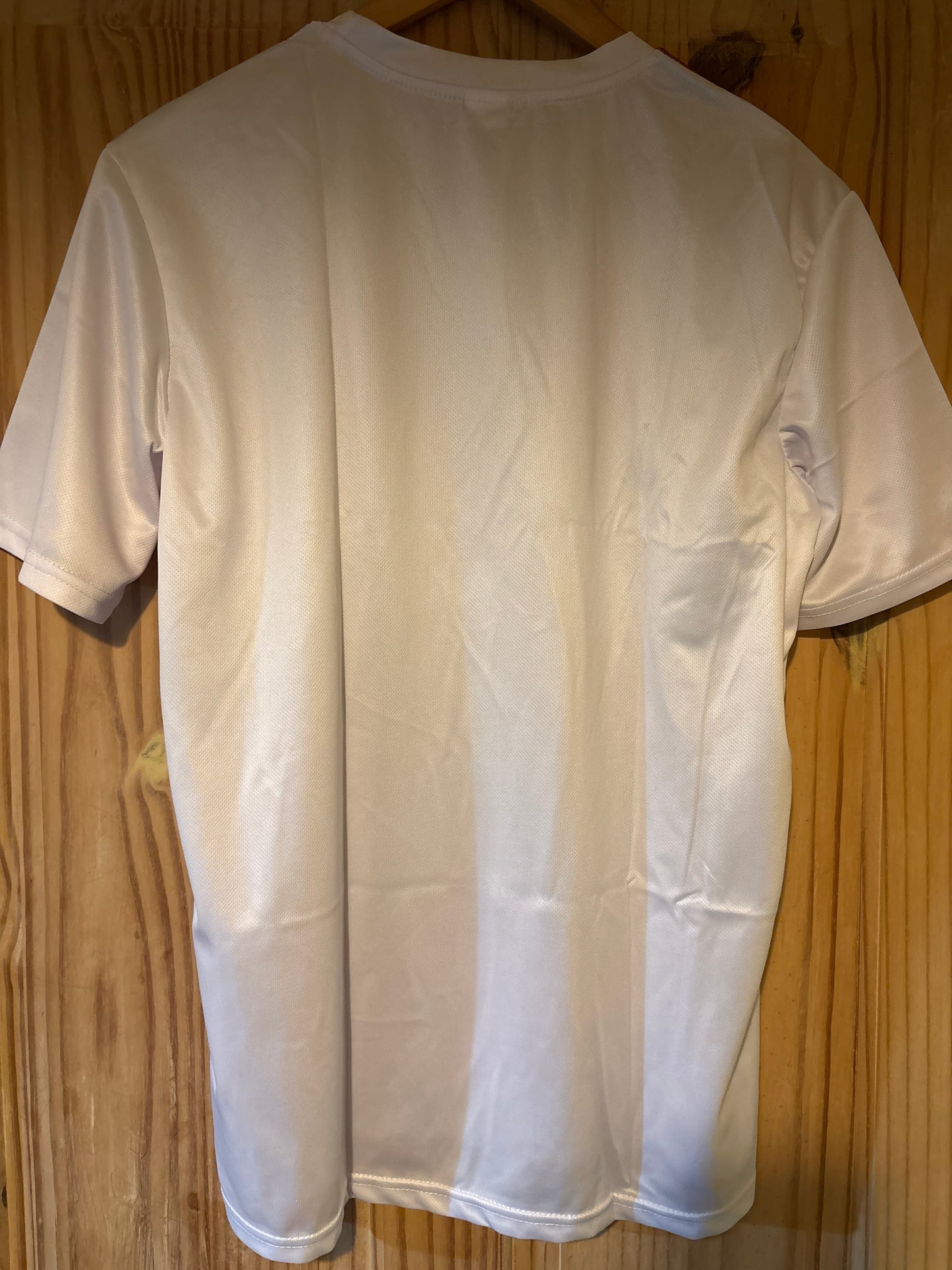 He wore an itsy bitsy egg bikini shit T-Shirt