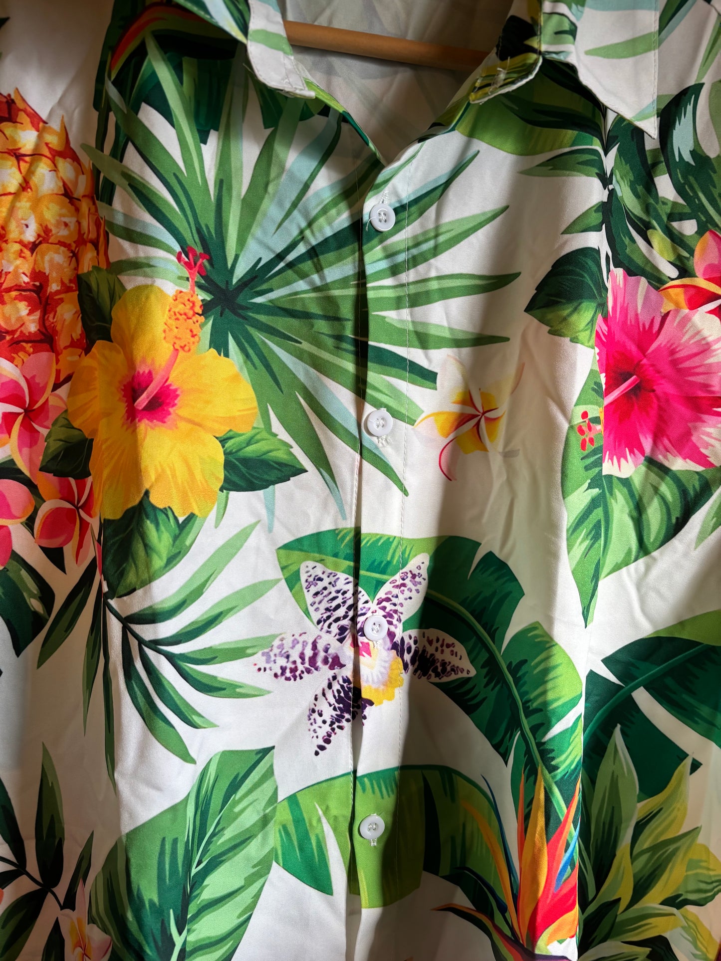 La chemise hawaïenne de merde du jardin d'Eden