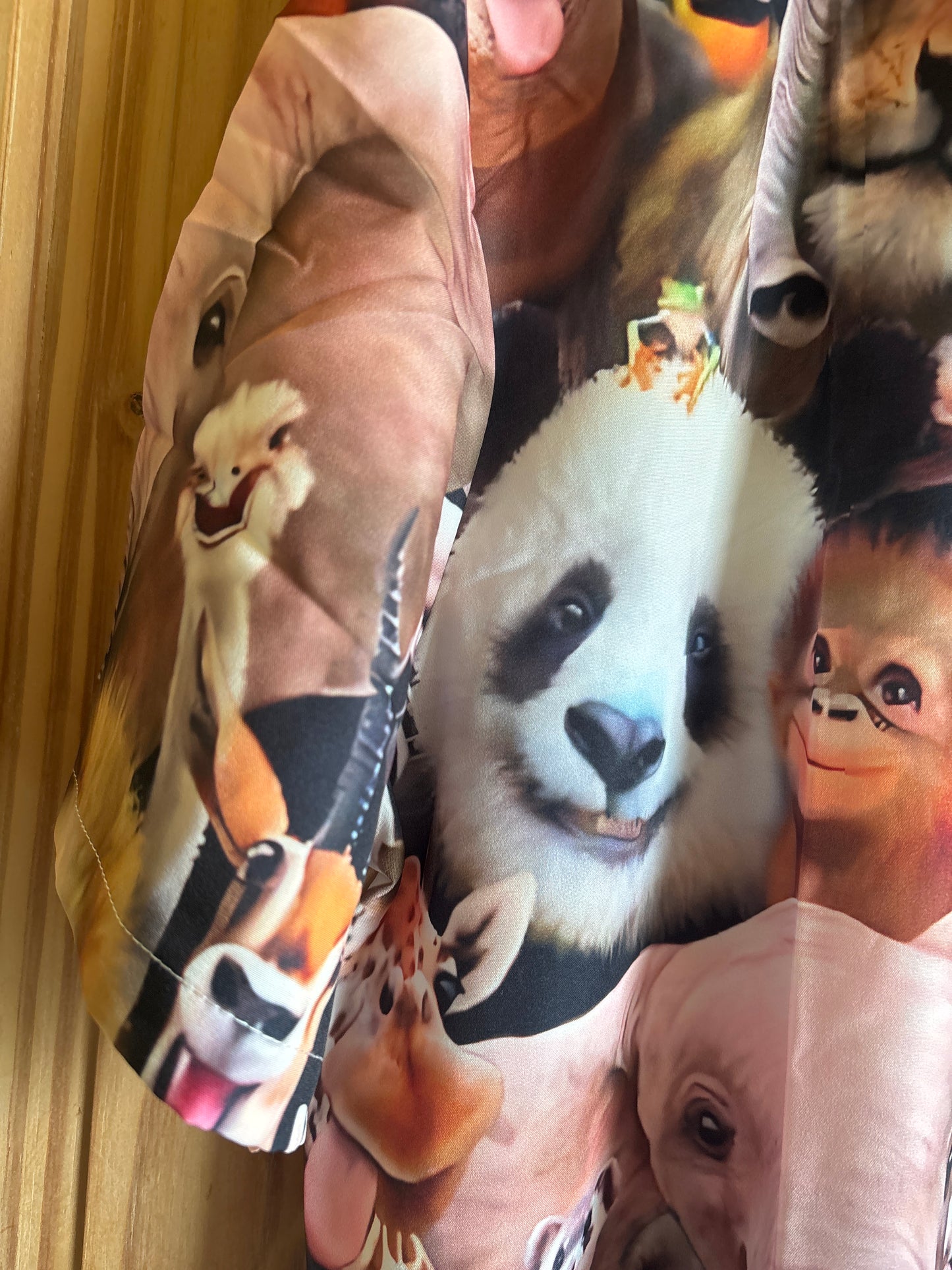Chemise hawaïenne de la réunion d'Ace Ventura détective pour animaux de compagnie