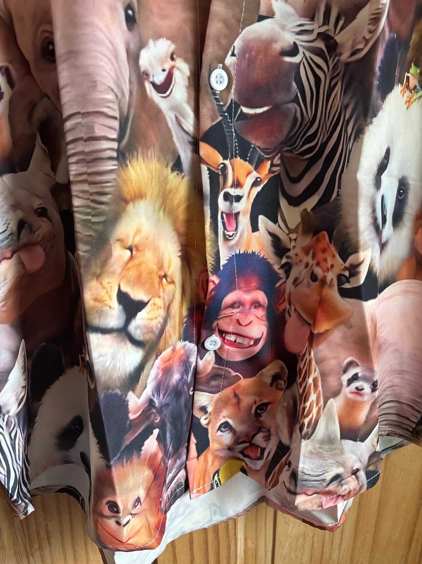 Chemise hawaïenne de la réunion d'Ace Ventura détective pour animaux de compagnie