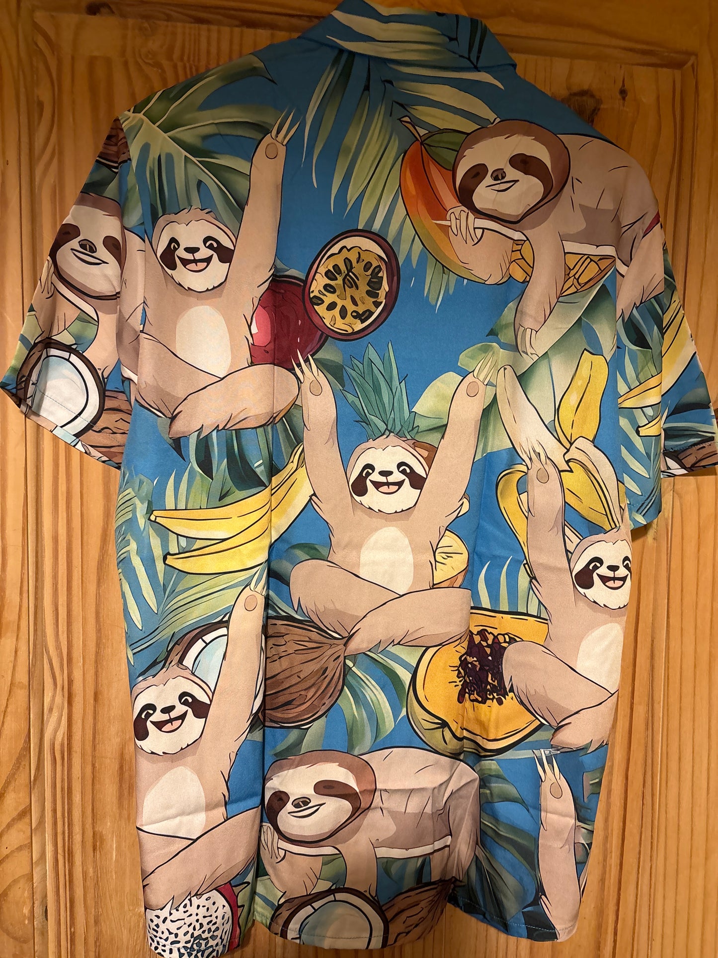 Même les paresseux savent faire la fête Hawaïenne