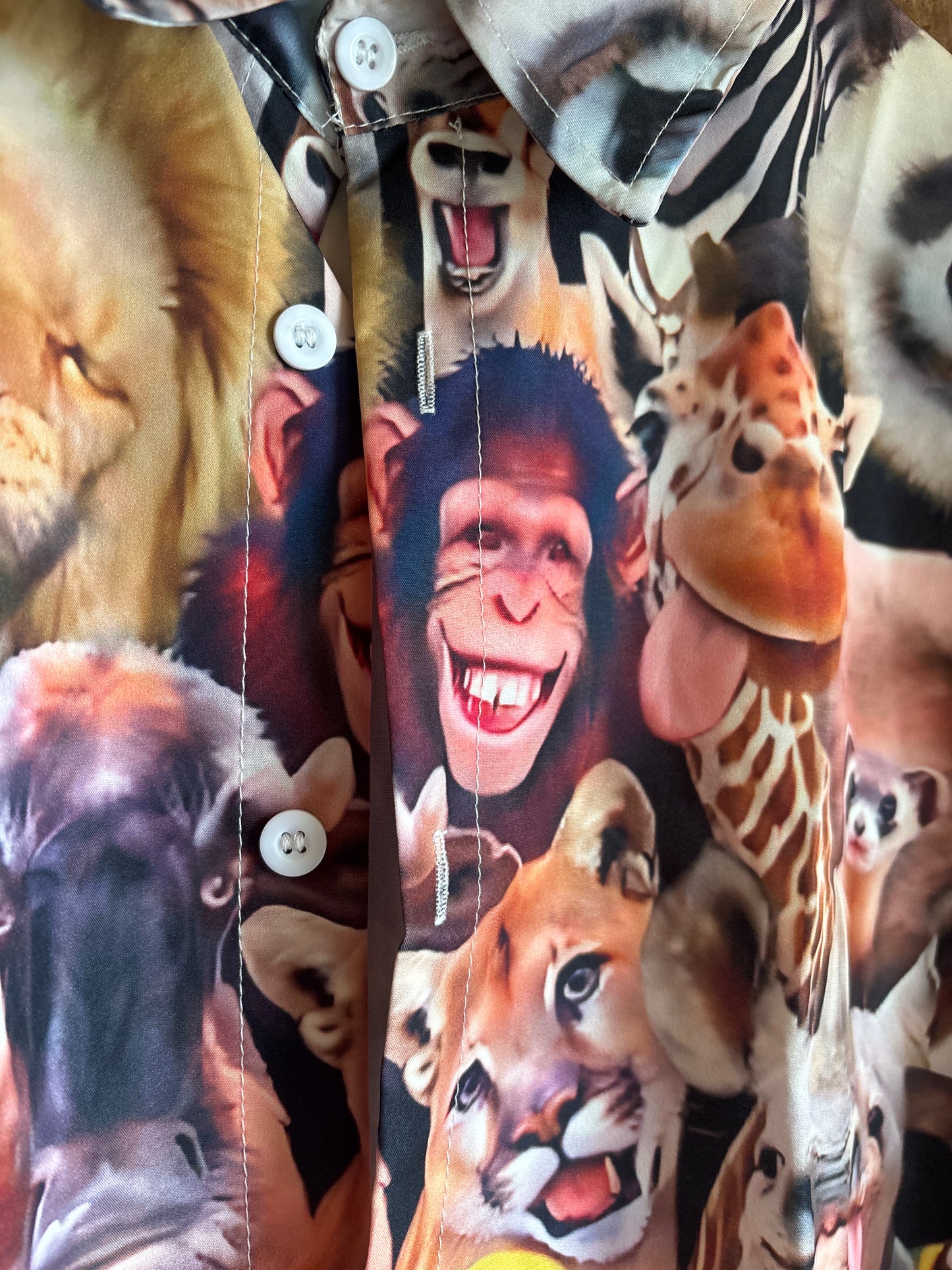 Chemise hawaïenne de la réunion d'Ace Ventura détective pour animaux de compagnie