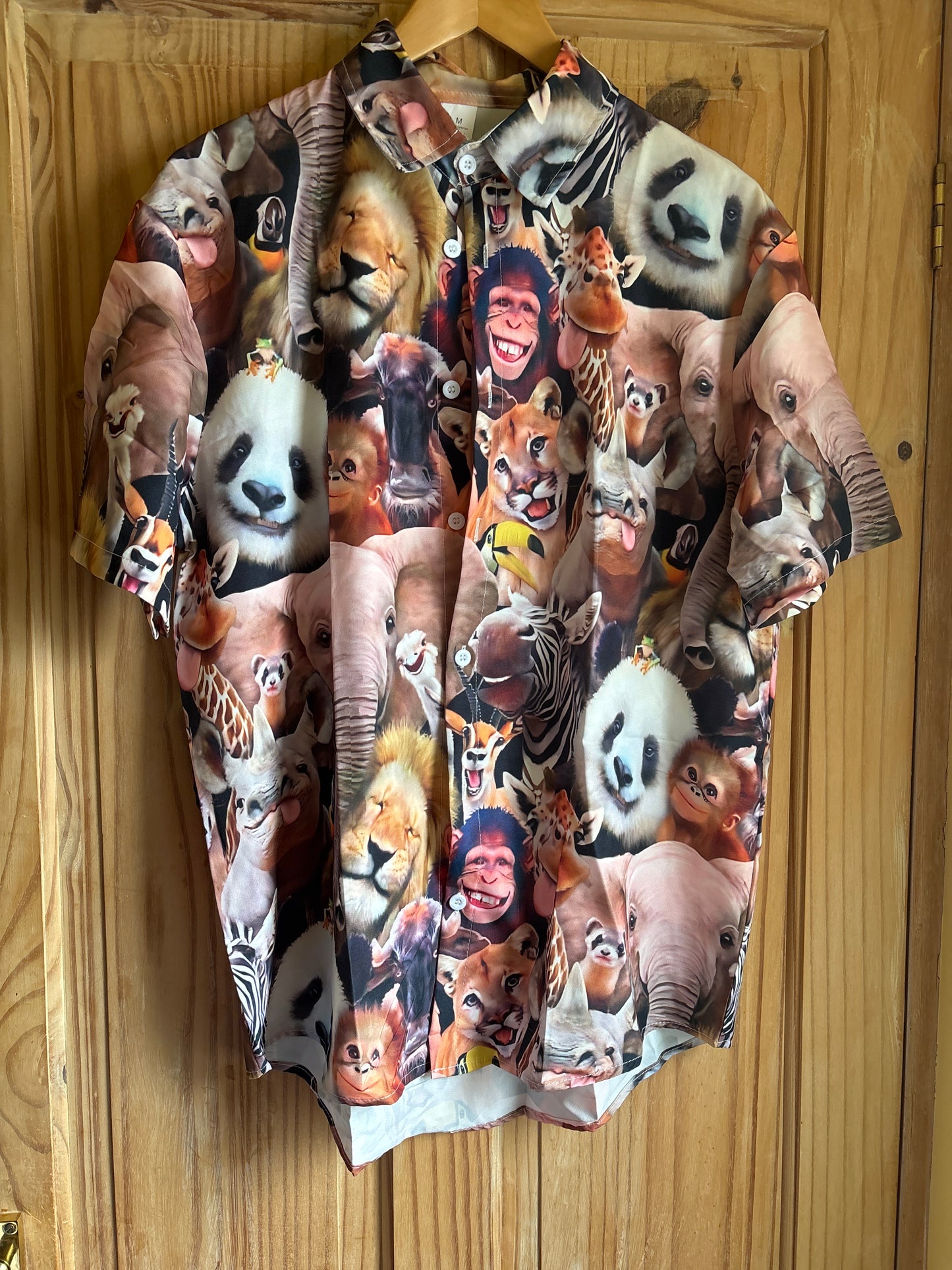 Chemise hawaïenne de la réunion d'Ace Ventura détective pour animaux de compagnie